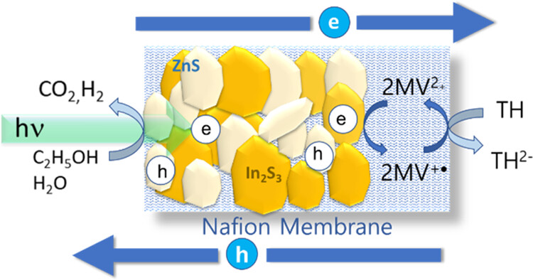 Directional Electron Transfer across In2S3/ZnS-Embedded Photocatalytic Membranes